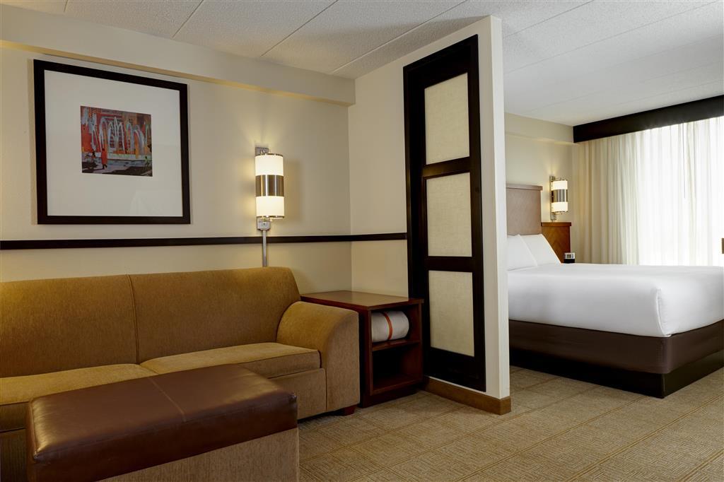 Hyatt Place Atlanta Alpharetta North Point Mall Chambre photo